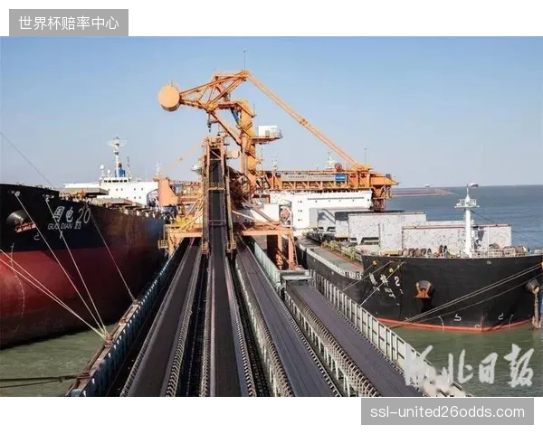行业调整阶段体育内容生态优化不止于流量增长 更重价值沉淀